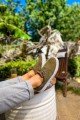 CH173 Velluto Erkek Günlük Bağcıklı Kadife Kumaş Spor Sneaker Ayakkabı KKBT - Haki Erkek Ayakkabı CH173 Velluto Erkek Günlük Bağcıklı Kadife Kumaş Spor Sneaker Ayakkabı KKBT - Haki – Chekich Erkek Ayakkabı